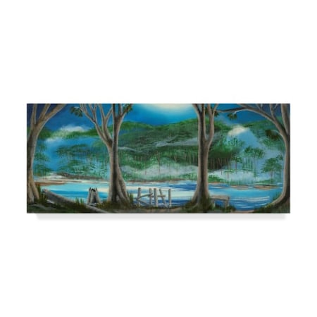 Carol Salas 'Moon River' Canvas Art,20x47